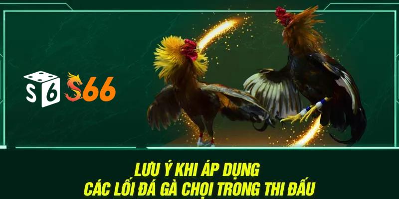 Lưu ý khi áp dụng các lối đá gà chọi trong thi đấu